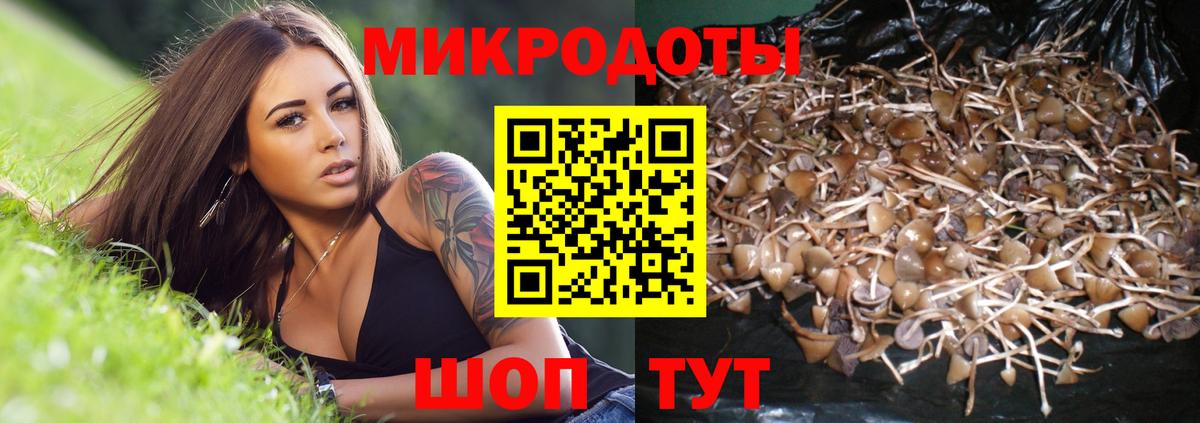 Меф Алапаевск